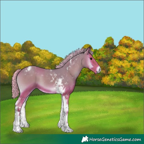 Horse Color:Watercolor Silver Blue Onyx Tobiano