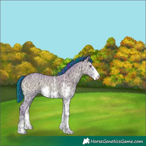 Horse Color:Painted Watercolor Sable Champagne Chinchilla Ice Onyx Sabino 