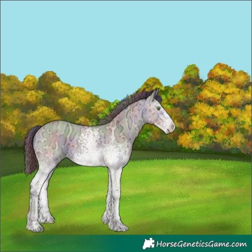 Horse Color:Nacre White Spotted Amber Champagne Ice Dun Sabino 