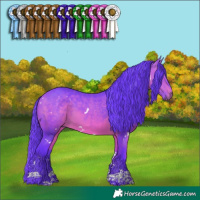 Horse Color:Watercolor White Spotted Bay Tobiano