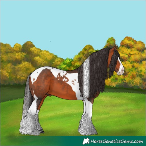 Horse Color:Bay Splash Tobiano 