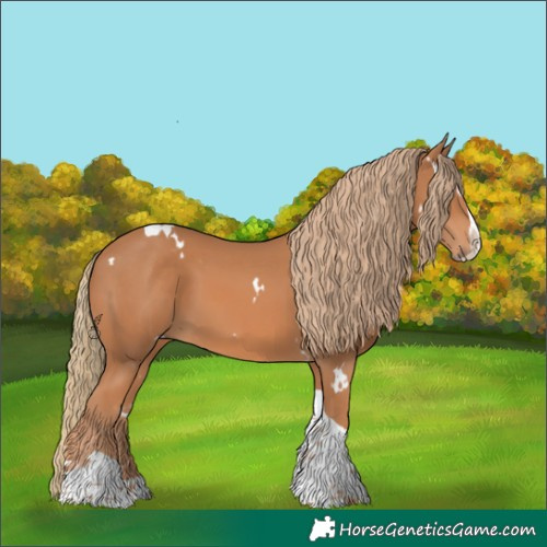 Horse Color:White Spotted Chestnut Splash Tobiano 