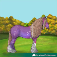 Horse Color:Watercolor White Spotted Chestnut Tobiano 