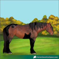 Horse Color:Void Bay Tobiano Varnish