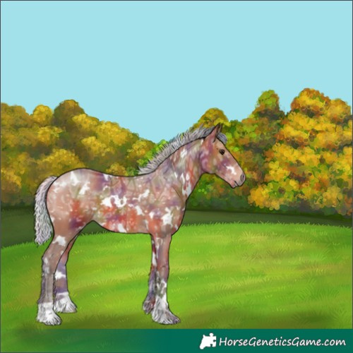 Horse Color:Nacre White Spotted Silver Bay Ice 