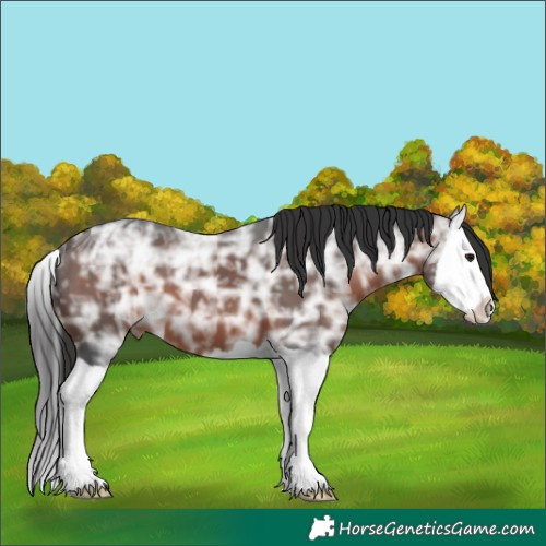 Horse Color:Brown Ice Splash 