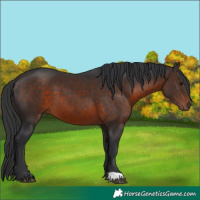 Horse Color:Brown 