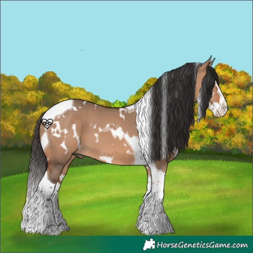 Horse Color:White Spotted Bay Dun Splash Tobiano