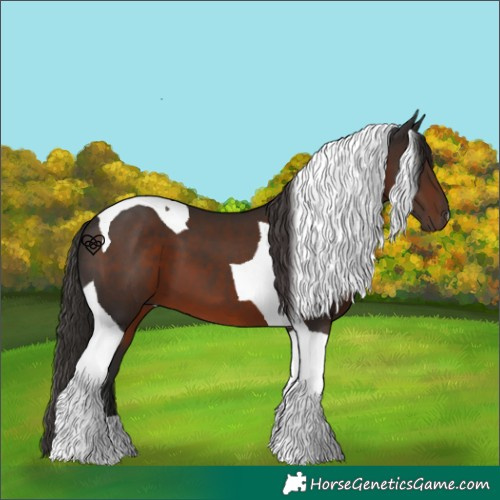 Horse Color:Liver Chestnut Tobiano 