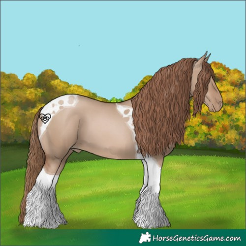 Horse Color:Grullo Pearl Tobiano
