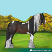 Horse Color:Brown Tobiano 