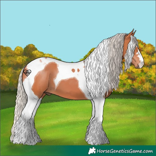 Horse Color:Silver Bay Tobiano 