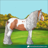 Horse Color:Silver Bay Tobiano 