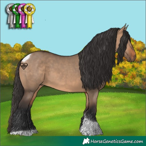 Horse Color:Bay Dun Tobiano 