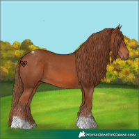 Horse Color:Chestnut Tobiano 