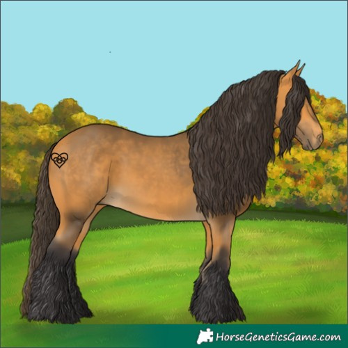 Horse Color:Buckskin 