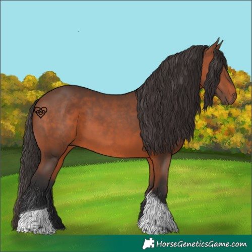 Horse Color:Bay Tobiano 