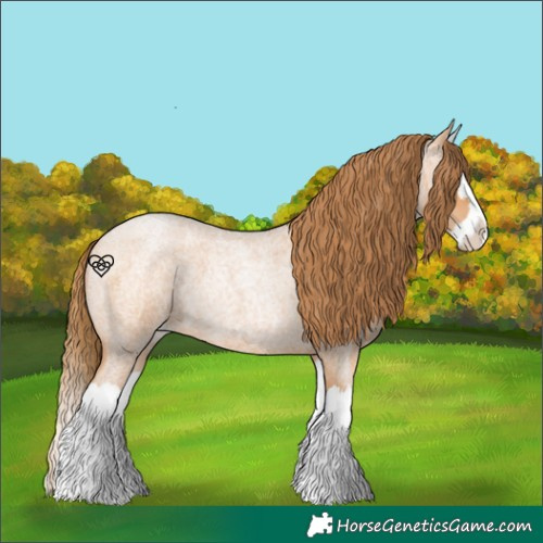 Horse Color:Bay Roan Pearl Splash 
