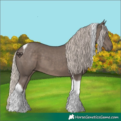 Horse Color:Silver Black Tobiano 