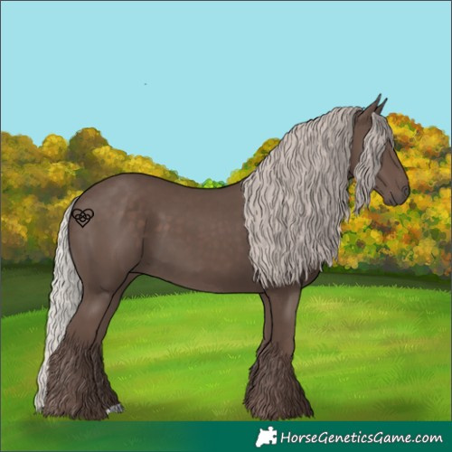 Horse Color:Silver Black 