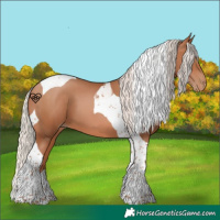 Horse Color:Silver Brown Pearl Tobiano 