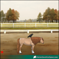 Horse Color:Red Dun Tobiano