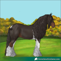 Horse Color:Liver Chestnut Tobiano 