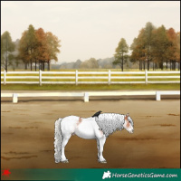 Horse Color:White Spotted Silver Bay Tobiano