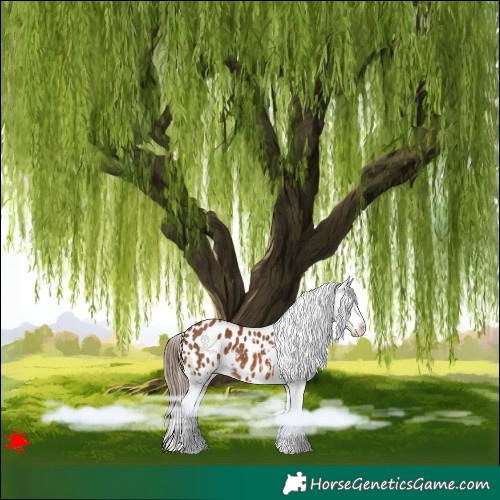 Horse Color:Bay Blanket