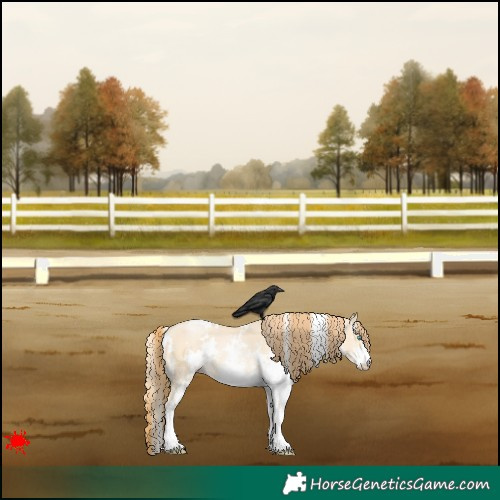 Horse Color:White Spotted Buckskin Pearl Dun 