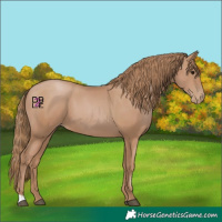 Horse Color:Black Pearl