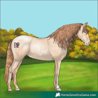 Horse Color:Classic Champagne Pearl 