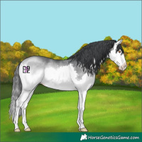 Horse Color:Brown Chinchilla Onyx Splash 