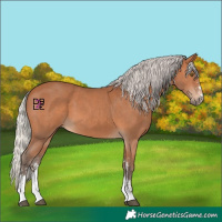Horse Color:Silver Bay Sabino 