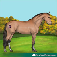 Horse Color:Bay Sabino 