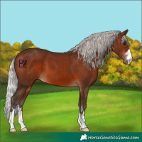 Horse Color:Silver Brown 