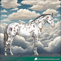 Horse Color:Bay Dun Frame Appaloosa 