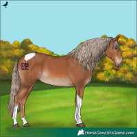 Horse Color:Chestnut Tobiano 
