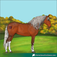 Horse Color:White Spotted Silver Brown 