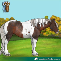 Horse Color:Silver Brown Tobiano Rabicano