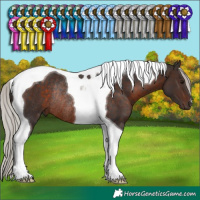 Horse Color:Silver Brown Tobiano Rabicano 