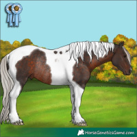 Horse Color:Silver Brown Tobiano Rabicano