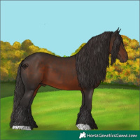 Horse Color:Liver Chestnut 