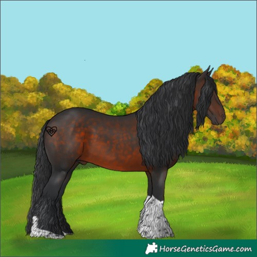 Horse Color:Brown Tobiano