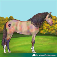Horse Color:Nacre Bay Dun 