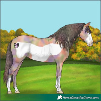 Horse Color:Nacre Amber Champagne Frame 