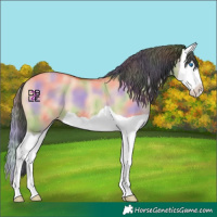 Horse Color:Nacre Bay Dun Splash