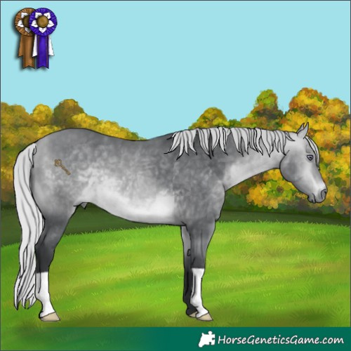 Horse Color:Silver Bay Chinchilla 