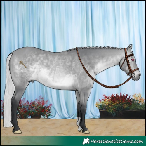 Horse Color:Silver Bay Chinchilla