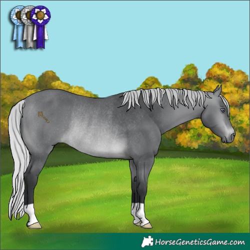 Horse Color:Silver Brown Chinchilla Rabicano 